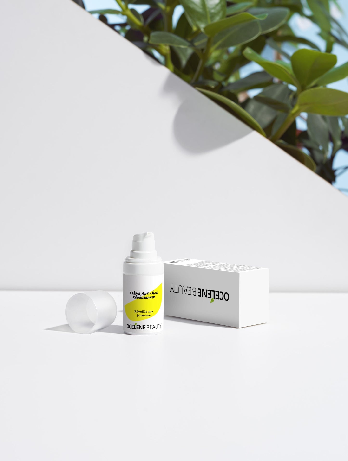 Crème Anti-Âge Régénérante