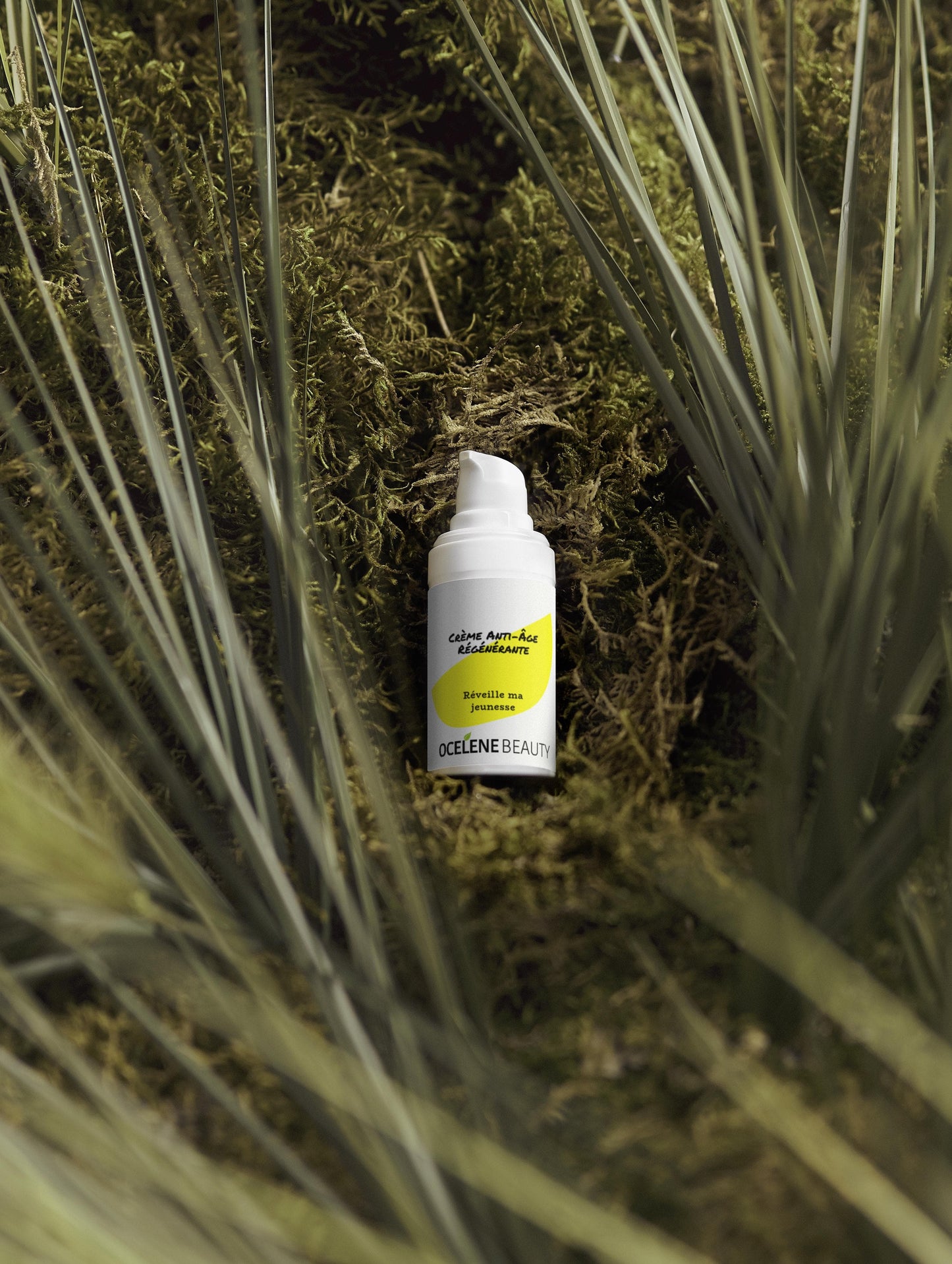 Crème Anti-Âge Régénérante