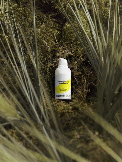 Crème Anti-Âge Régénérante